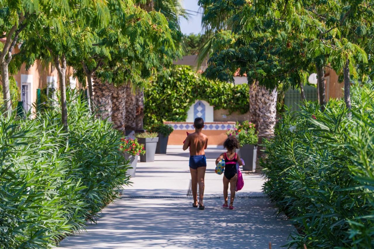 Domaine La Pinede Enchantee Argelès-sur-Mer Eksteriør billede
